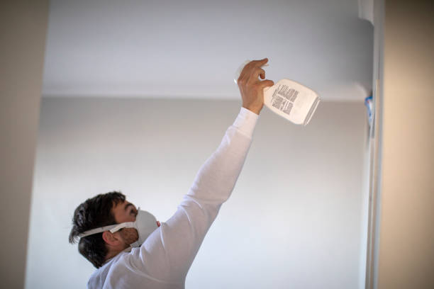 Best Mold Remediation Experts  in Gateway, AK