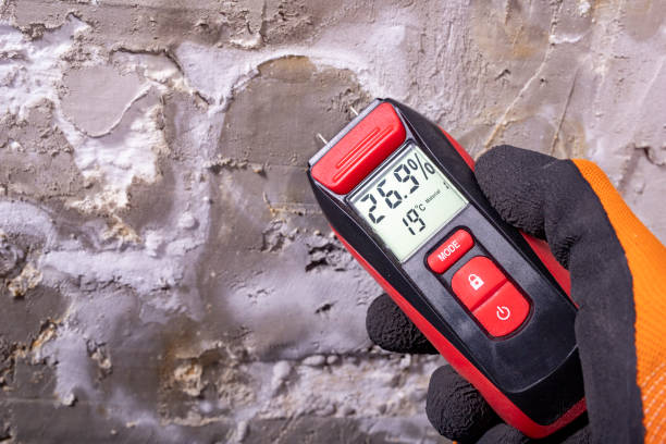 Best Fast Mold Removal  in Gateway, AK