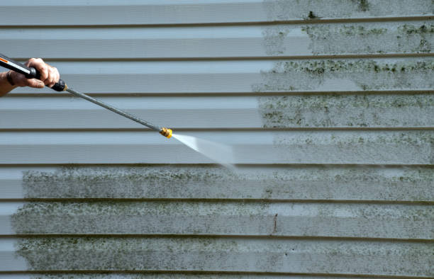 Best Attic Mold Removal  in Gateway, AK