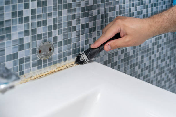 Best Same-Day Mold Removal  in Gateway, AK