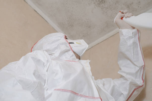 Best Emergency Mold Removal  in Gateway, AK